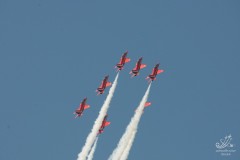 2010-rivolto-233