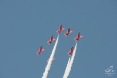 2010-rivolto-234