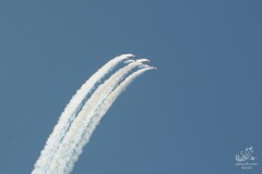 2010-rivolto-235