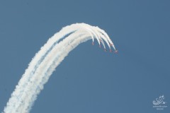 2010-rivolto-237