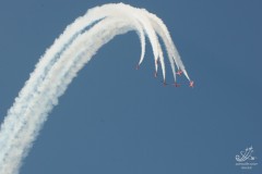 2010-rivolto-238