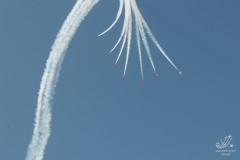 2010-rivolto-241