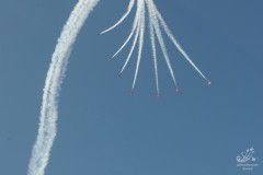 2010-rivolto-242