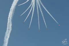 2010-rivolto-244