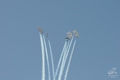 2010-rivolto-251