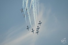 2010-rivolto-254