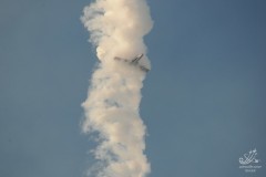 2010-rivolto-265