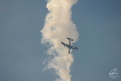 2010-rivolto-268