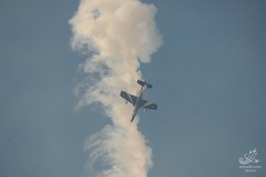 2010-rivolto-270