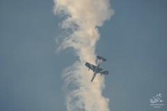 2010-rivolto-271