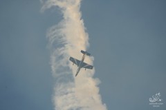 2010-rivolto-272