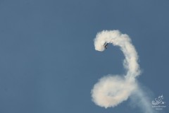 2010-rivolto-276