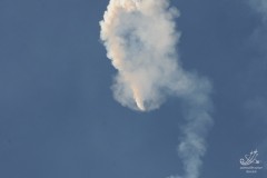 2010-rivolto-281