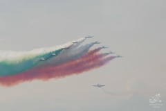 2010-rivolto-283