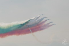 2010-rivolto-285