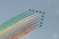 2010-rivolto-288
