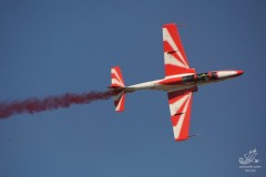 2010-rivolto-32