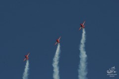 2010-rivolto-55