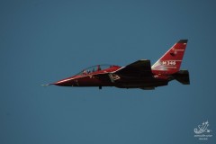 2010-rivolto-65