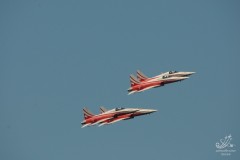 2010-rivolto-95