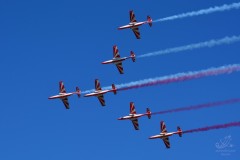2015-rivolto-27