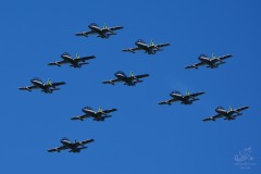 2015-rivolto-47
