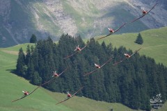 2008-st-stephan-111