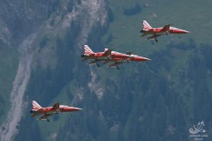 2008-st-stephan-8