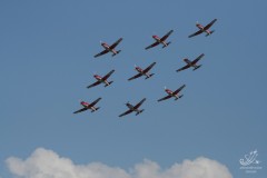 2008-tot-sion-28