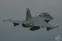 2008-tte-gripen-meiringen-17