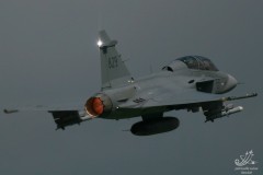 2008-tte-gripen-meiringen-3