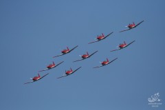 2008-villeneuve-vertigo-15
